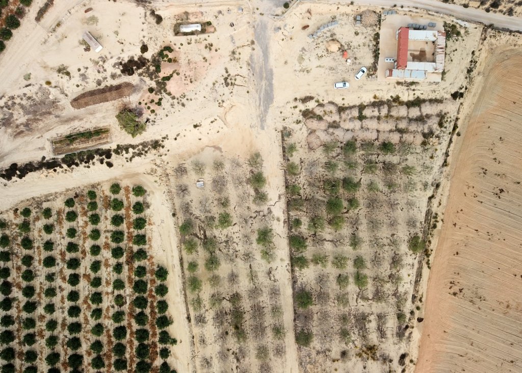 Verkoop - Plot - Torremendo - Torremendo - Country