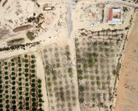 Verkoop - Plot - Torremendo - Torremendo - Country