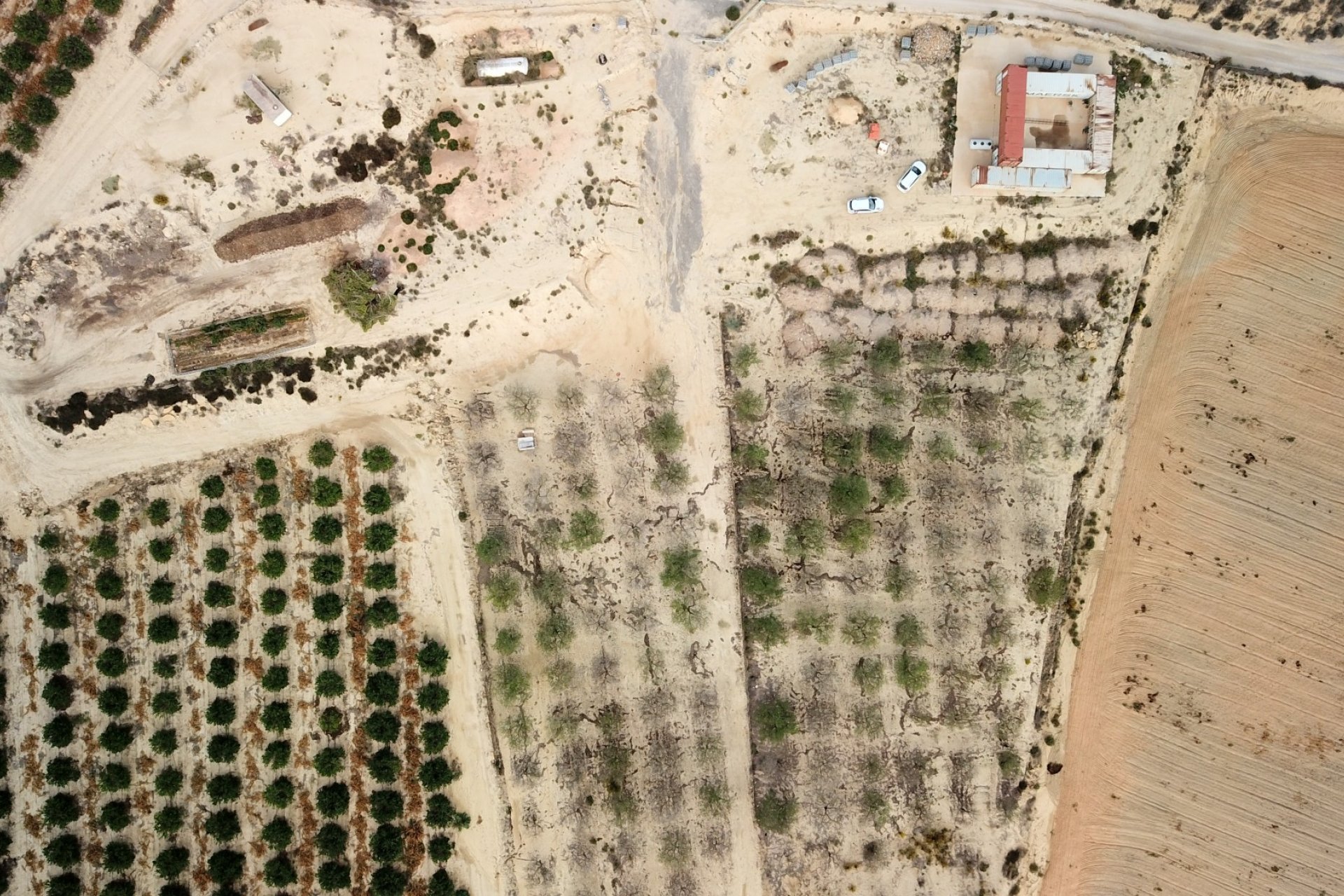 Verkoop - Plot - Torremendo - Torremendo - Country