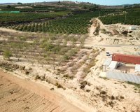 Verkoop - Plot - Torremendo - Torremendo - Country