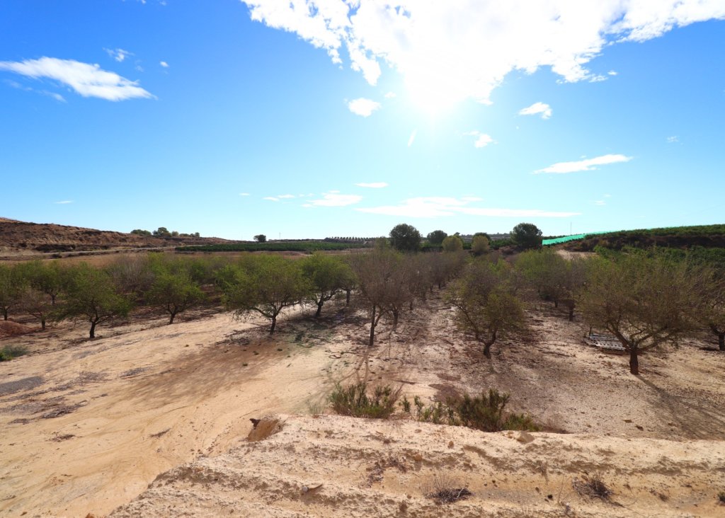 Verkoop - Plot - Torremendo - Torremendo - Country