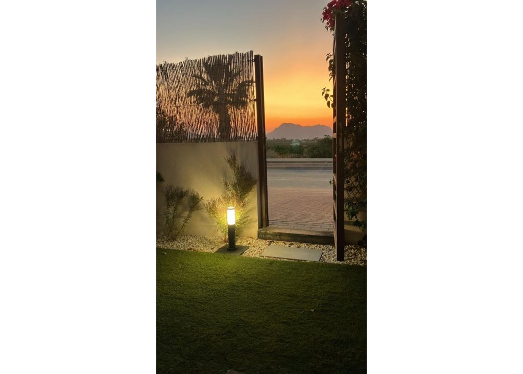 Verkoop - Townhouse - Algorfa