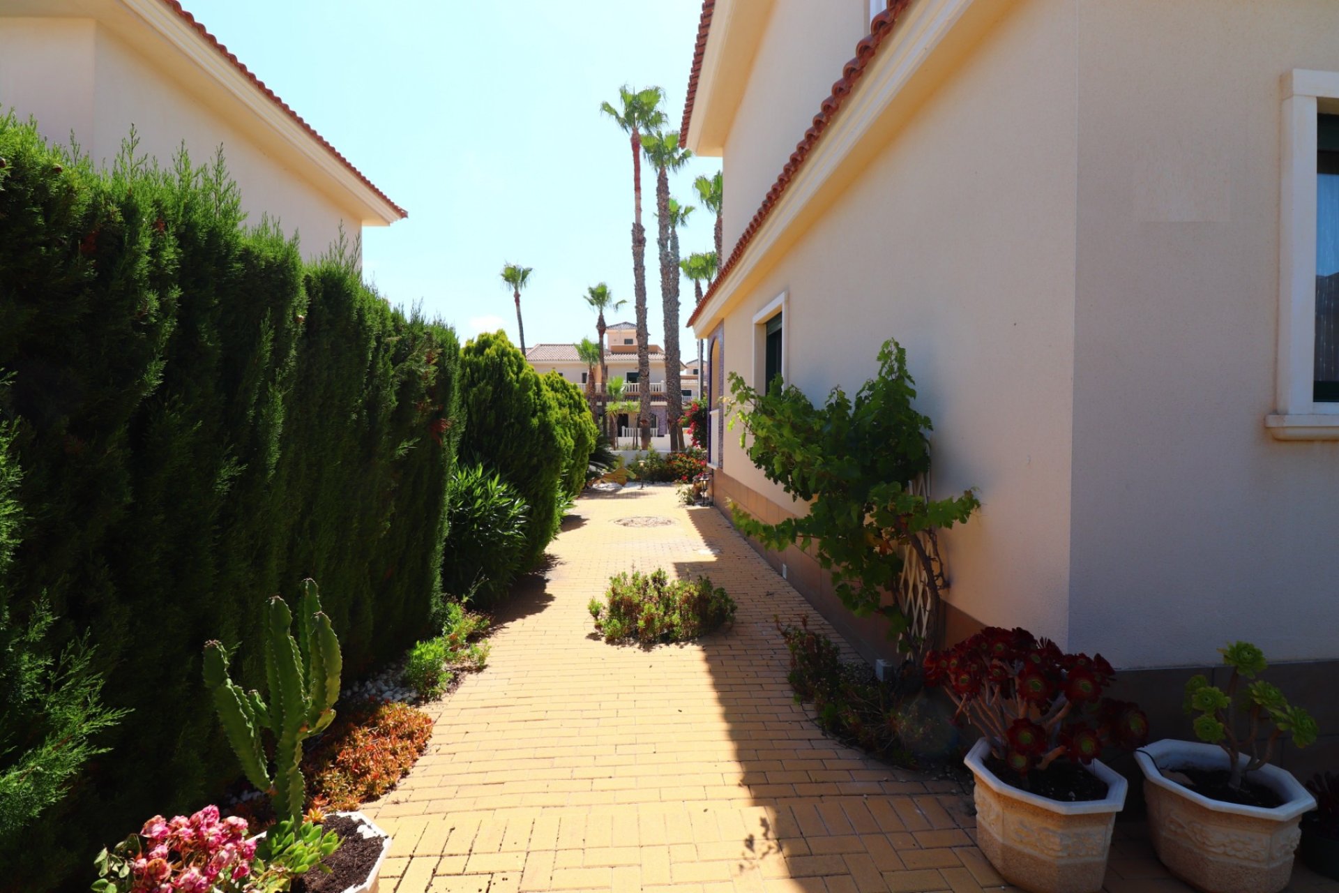 Verkoop - Townhouse - Ciudad Quesada - Doña Pepa