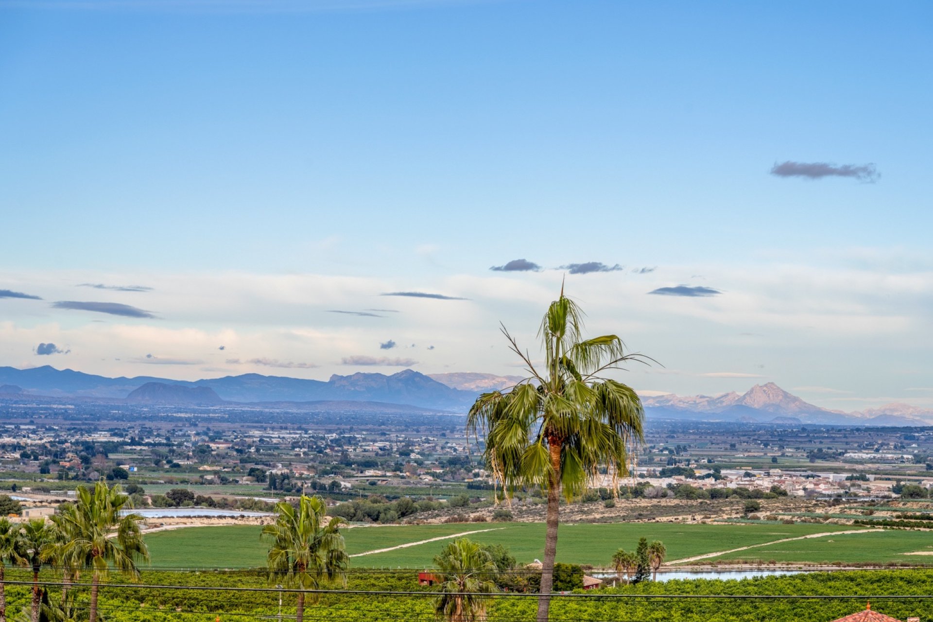 Verkoop - Villa - Algorfa - Lomas De La Juliana