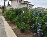 Verkoop - Villa - Algorfa - Montemar