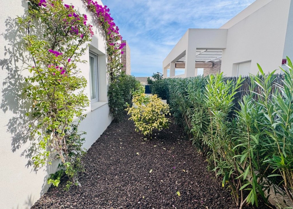 Verkoop - Villa - Algorfa