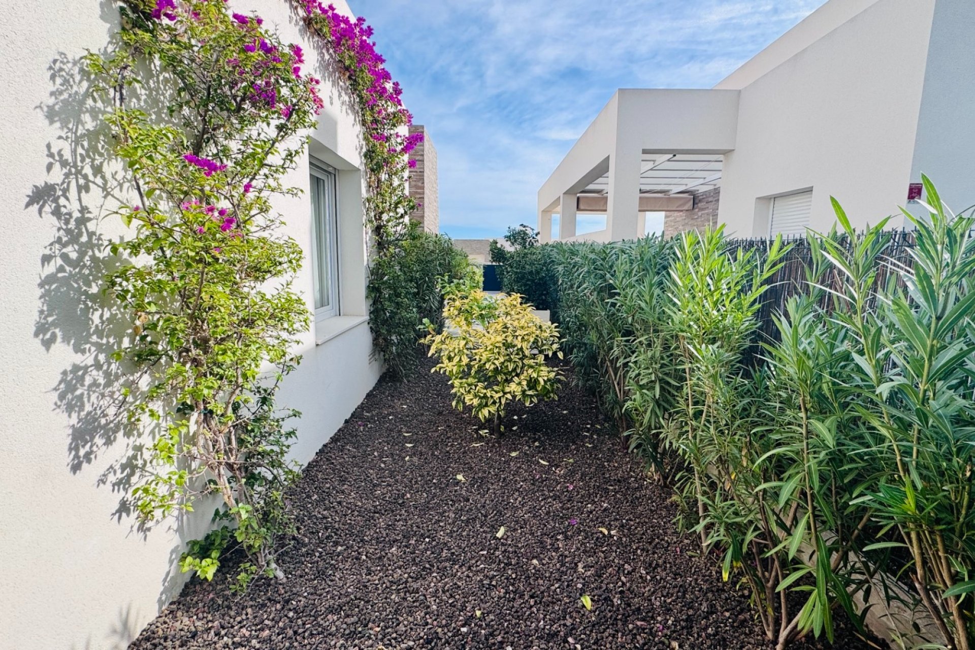 Verkoop - Villa - Algorfa