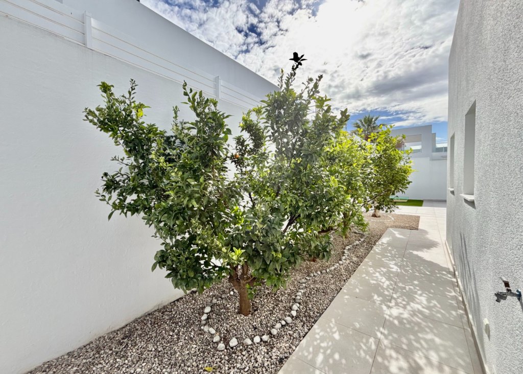 Verkoop - Villa - Benijofar - Benijofar - Village