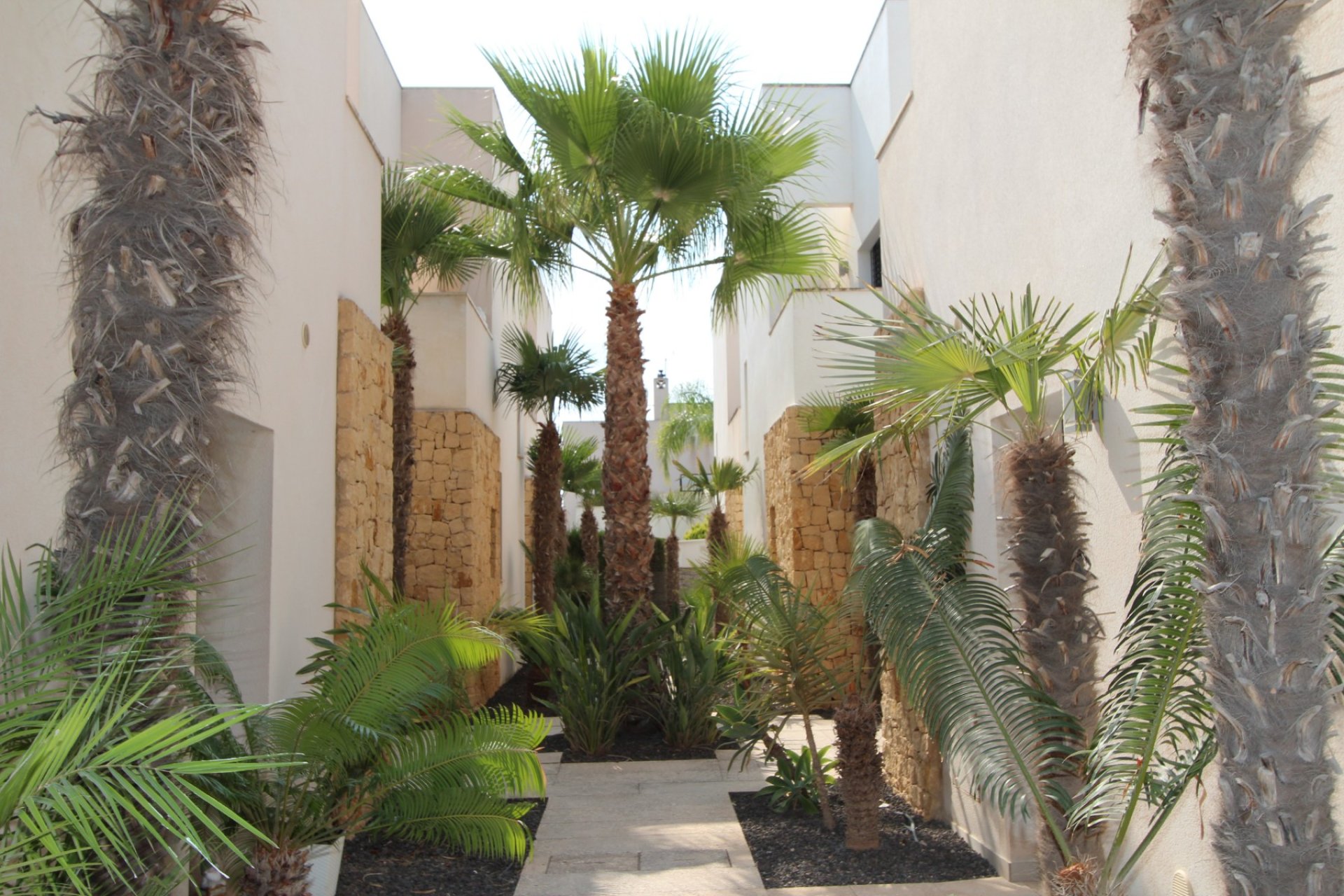 Verkoop - Villa - Ciudad Quesada - Doña Pepa