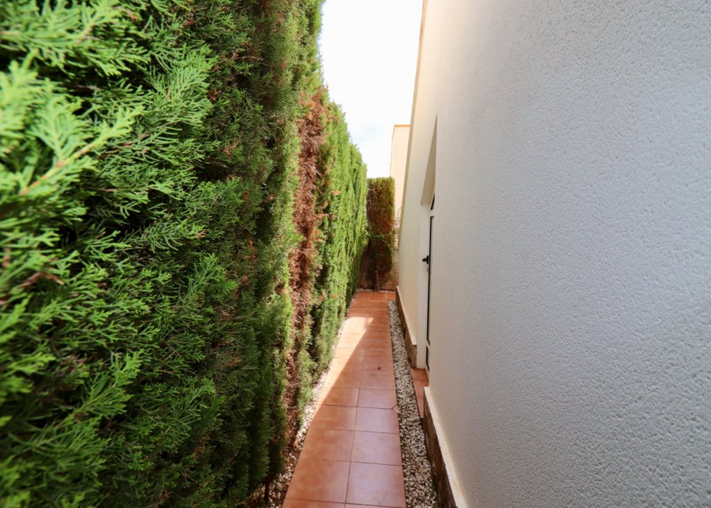 Verkoop - Villa - Guardamar del Segura - El Raso