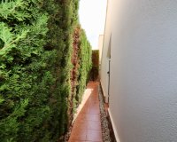 Verkoop - Villa - Guardamar del Segura - El Raso