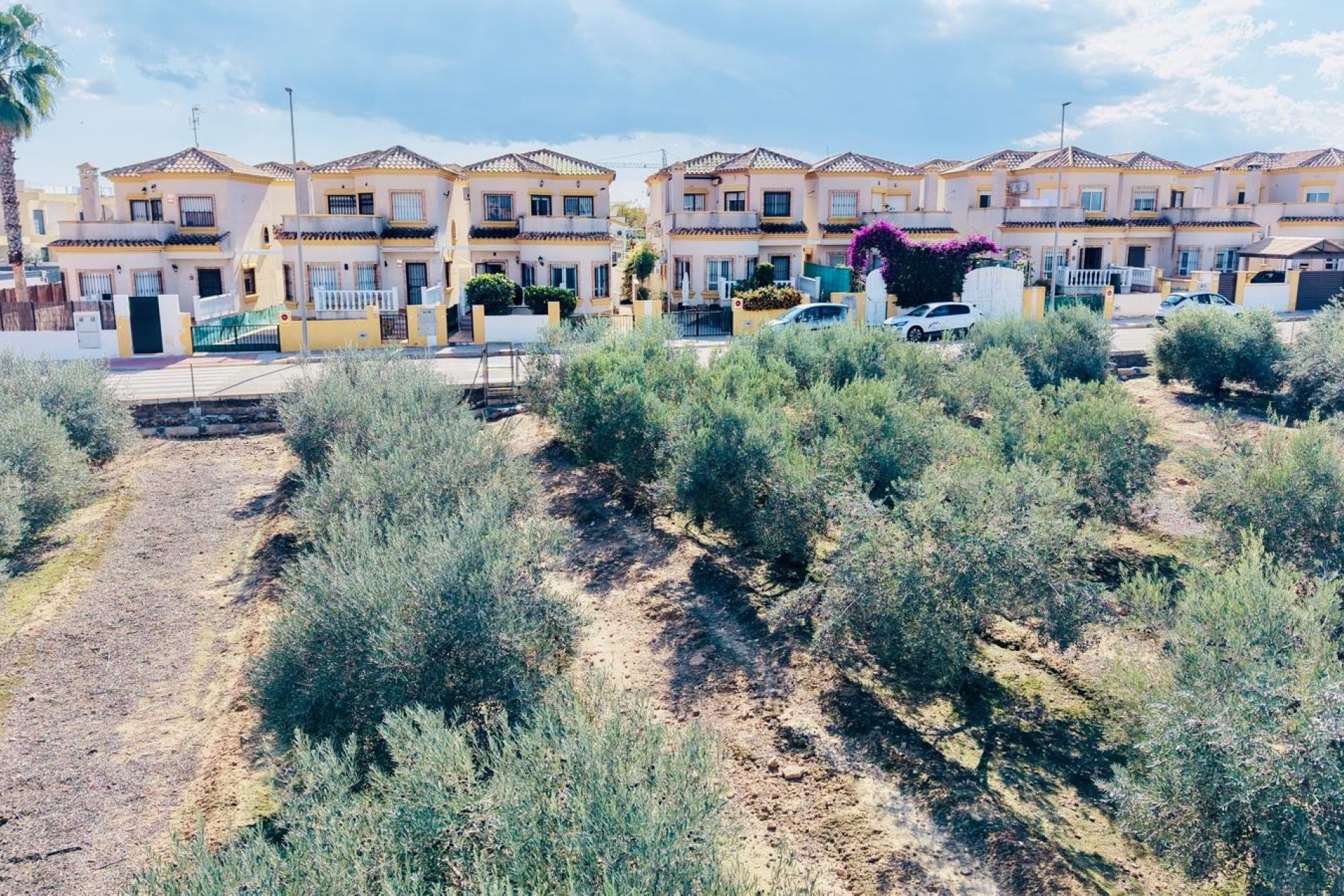 Verkoop - Villa - Los Montesinos - La Herrada