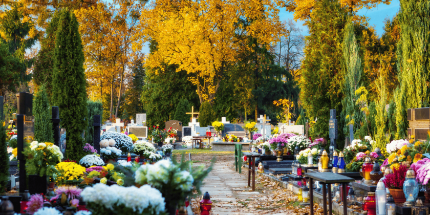 🌿 Día de Todos los Santos in Spain: A Beautiful Tradition of Remembrance