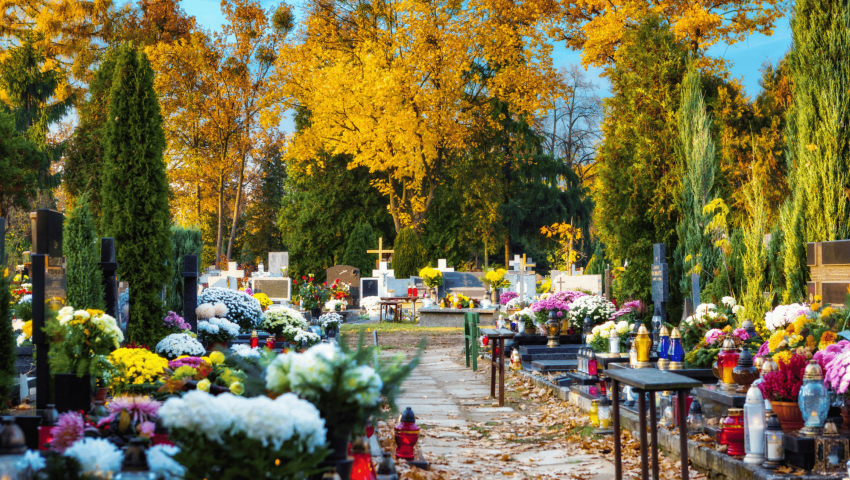🌿 Día de Todos los Santos en España: una hermosa tradición para recordar