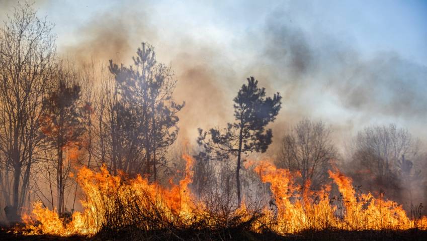 Keep Cool & Care for the Planet This Summer in Spain
