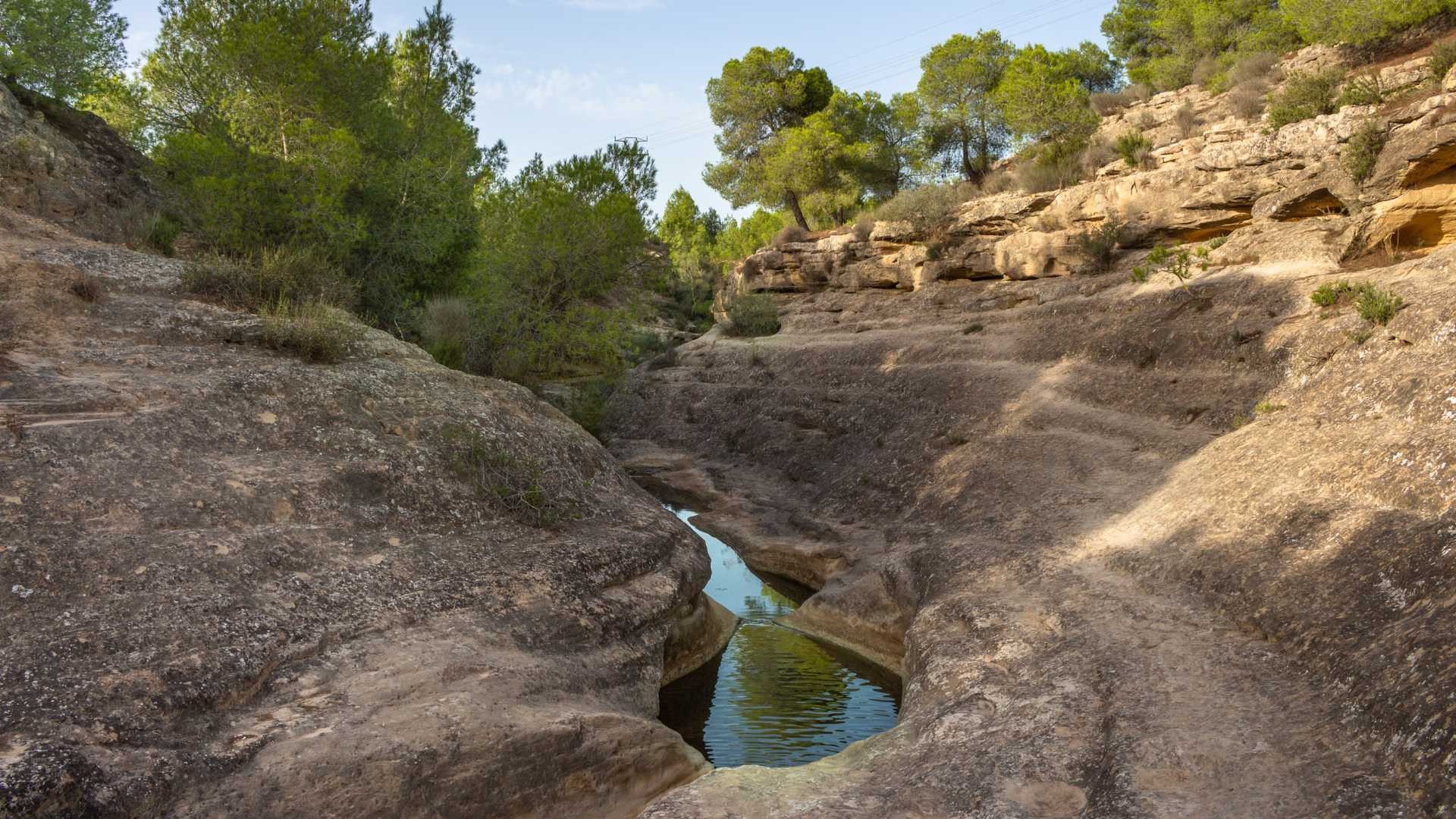Appartement te koop in Algorfa, Algorfa